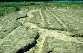 WHAT IS SOIL EROSION