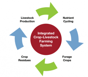 INTEGRATED FARMING SYSTEM 