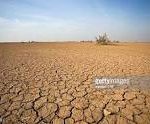 WHAT IS DROUGHT- CAUSE & EFFECTS