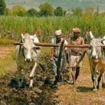 TYPES OF FARMERS-GOVERNMENT INITIATIVES