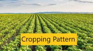 CROPPING PATTERN- TYPES OF CROPPING SYSTEM