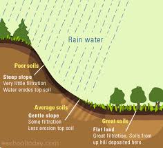 FORMATION OF SOIL-PROCESS & FACTOR OF SOIL FORMATION