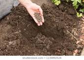 DIFFERENCE BETWEEN MANURE AND FERTILIZERS