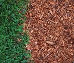 MULCHING MEANING- TYPES & USAGE