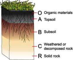 SOIL PROFILE- DIFFERENT HORIZONS