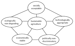 SUSTAINABLE AGRICULTURE-DEFINITION & IMPORTANCE