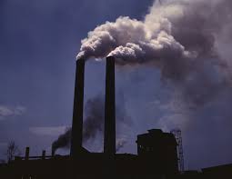 ESSAY ON ENVIRONMENTAL POLLUTION