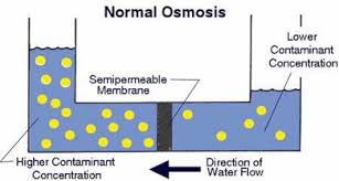 OSMOSIS