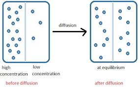 diffusion