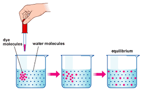 DIFFERENCE BETWEEN DIFFUSION AND OSMOSIS