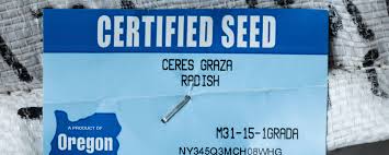 Seed classes