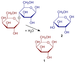 Hydrolysis