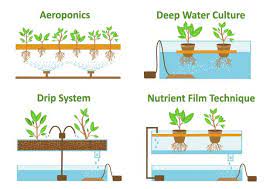 hydroponics