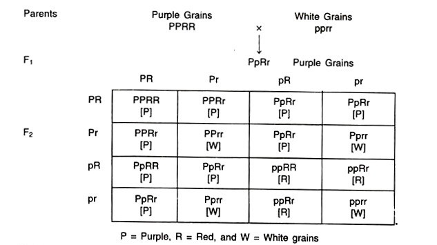 Epistasis