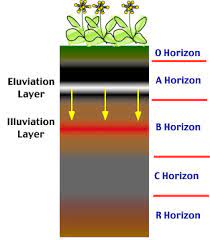 Eluviation and Illuviation