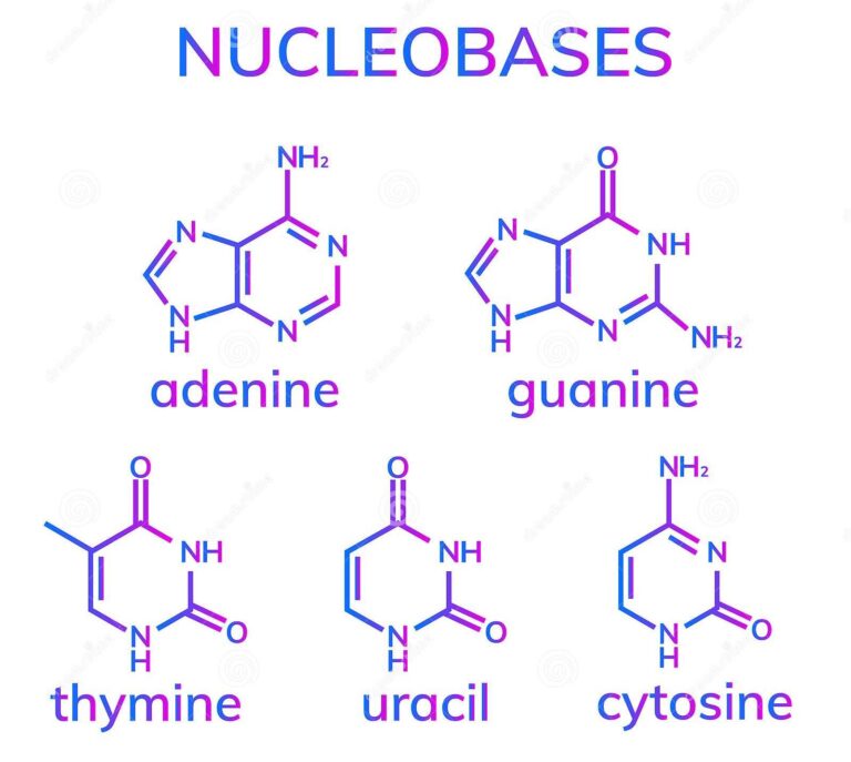 NUCLEOSIDES AND NUCLEOTIDES Agriculture Wale
