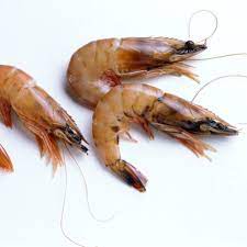 what is aquaculture