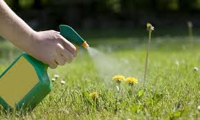 Herbicide- Classification, Formulations & Application