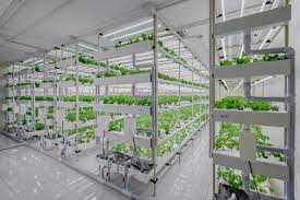 Vertical Farming